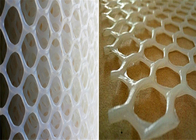 Commestibile Diamond Hole Food Industry Extruded Mesh Netting di plastica