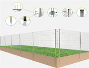 pannelli resistenti del recinto di filo metallico della rete metallica di 5mm forti per la scuola