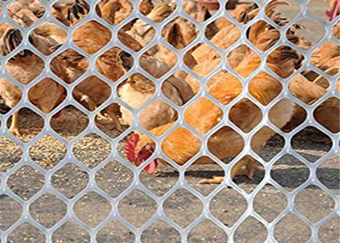 Il reticolato di plastica del pollame di resistenza all'usura per l'alimentazione dell'anatra del pollo e l'animale proteggono