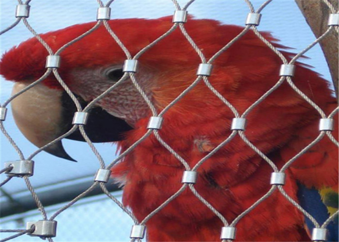 Reticolato della rete metallica dell'uccelliera del recinto/uccello della maglia del cavo metallico dell'acciaio inossidabile per la protezione