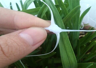 rete di plastica bianca di altezza di 1.8m che scala il supporto all'aperto della pianta