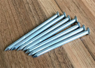 Fermi d'acciaio che costruiscono i chiodi concreti comuni delle punte a 3 pollici del metallo