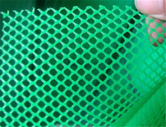 Griglia di giardino di plastica verde per l'utilizzo nella protezione dell'erba