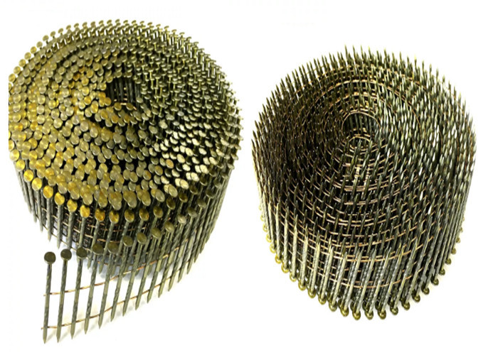 1-1/2» punte del metallo di lunghezza hanno galvanizzato i chiodi a spirale lisci della bobina del tetto dello stinco