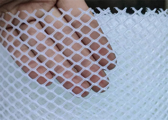 razza piana di plastica di 1.2cm Mesh Netting Hexagonal Hole Aquaculture