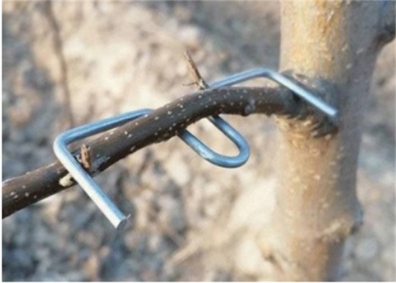 13 cm di lunghezza Galvanizzato ramo di albero strumento di premuta Furit Alberi utilizzo