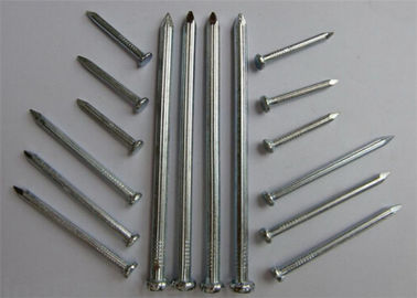 Chiodo comune del ferro del metallo dell'acciaio anticorrosivo delle punte Q195 usato per mobilia